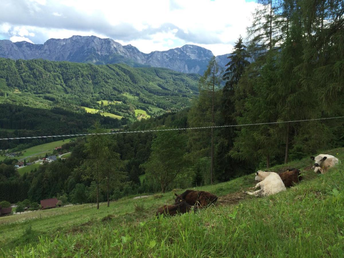 Kreitalm - Kraftplatz Im Salzkammergut Neukirchen  Eksteriør bilde