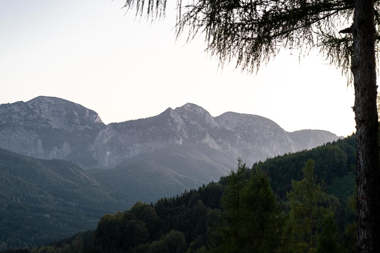 Kreitalm - Kraftplatz Im Salzkammergut Neukirchen  Eksteriør bilde