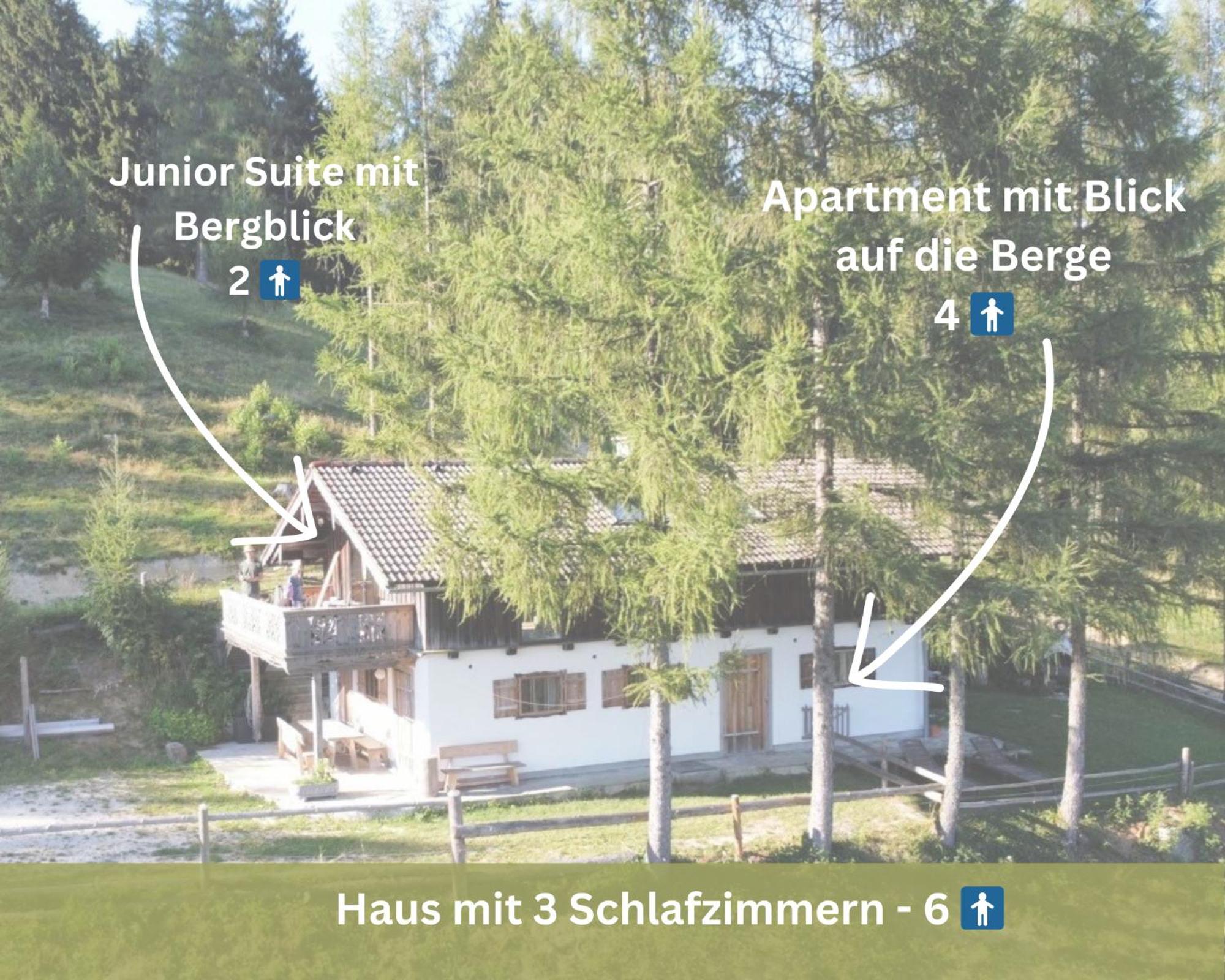 Kreitalm - Kraftplatz Im Salzkammergut Neukirchen  Eksteriør bilde